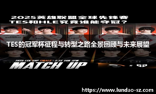 TES的冠军杯征程与转型之路全景回顾与未来展望